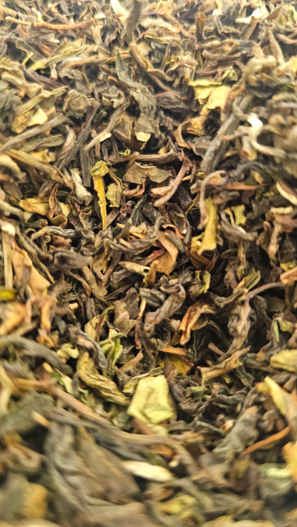 Darjeeling Steinthal BIO SFTGFOP I - 1st Flush