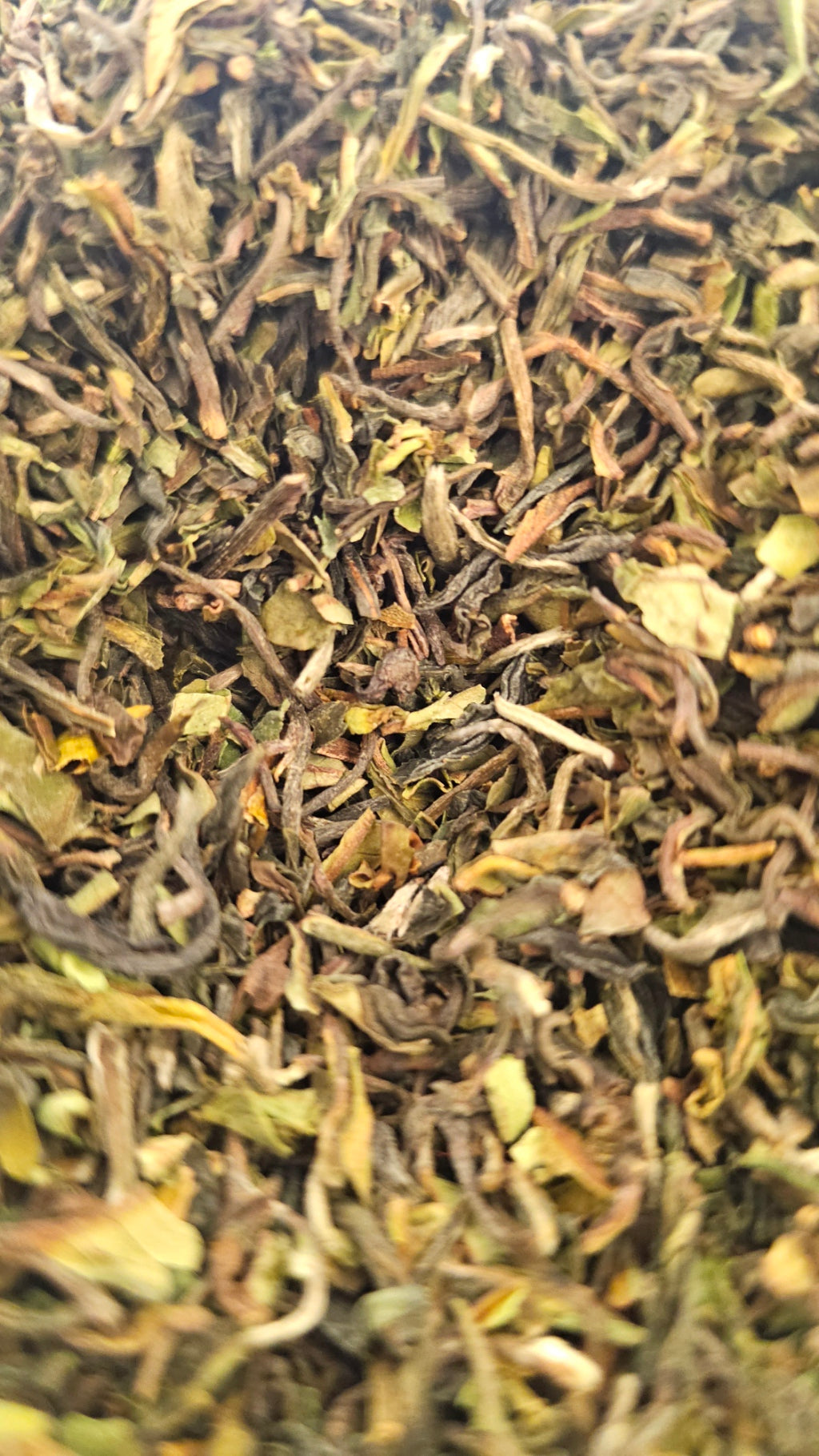 Darjeeling Royal Garden 1st Flush