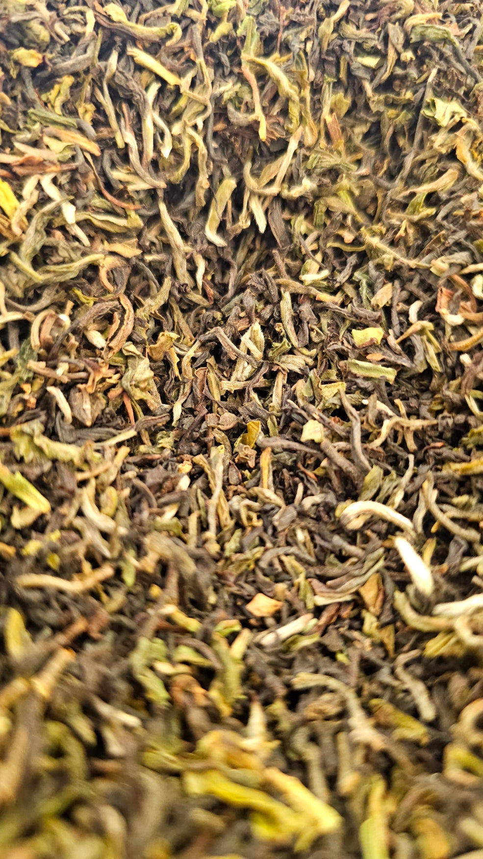 Darjeeling Puttabong BIO SFTGFOP I - 1st Flush