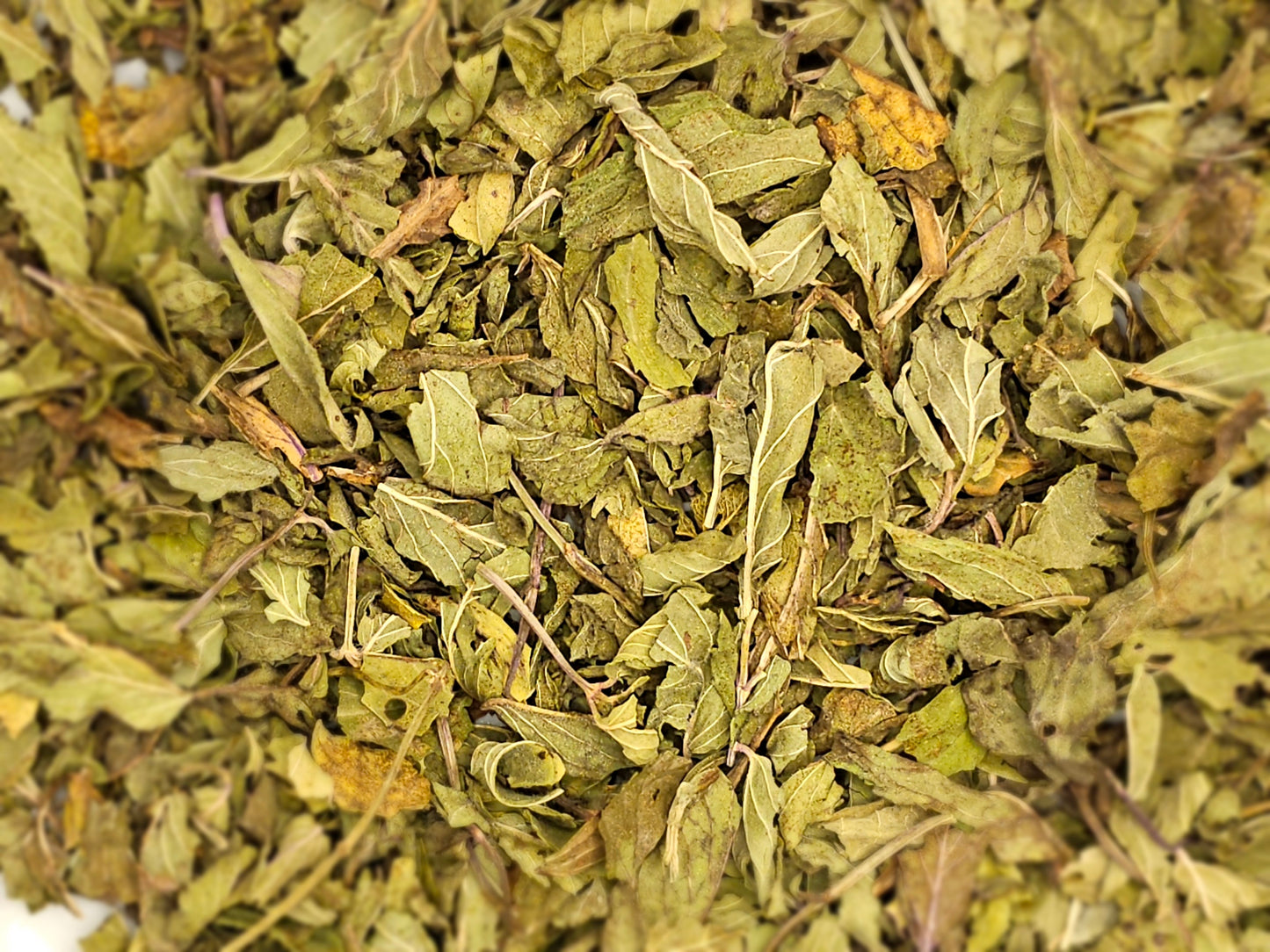 Pfefferminze Deutsche Krüllware