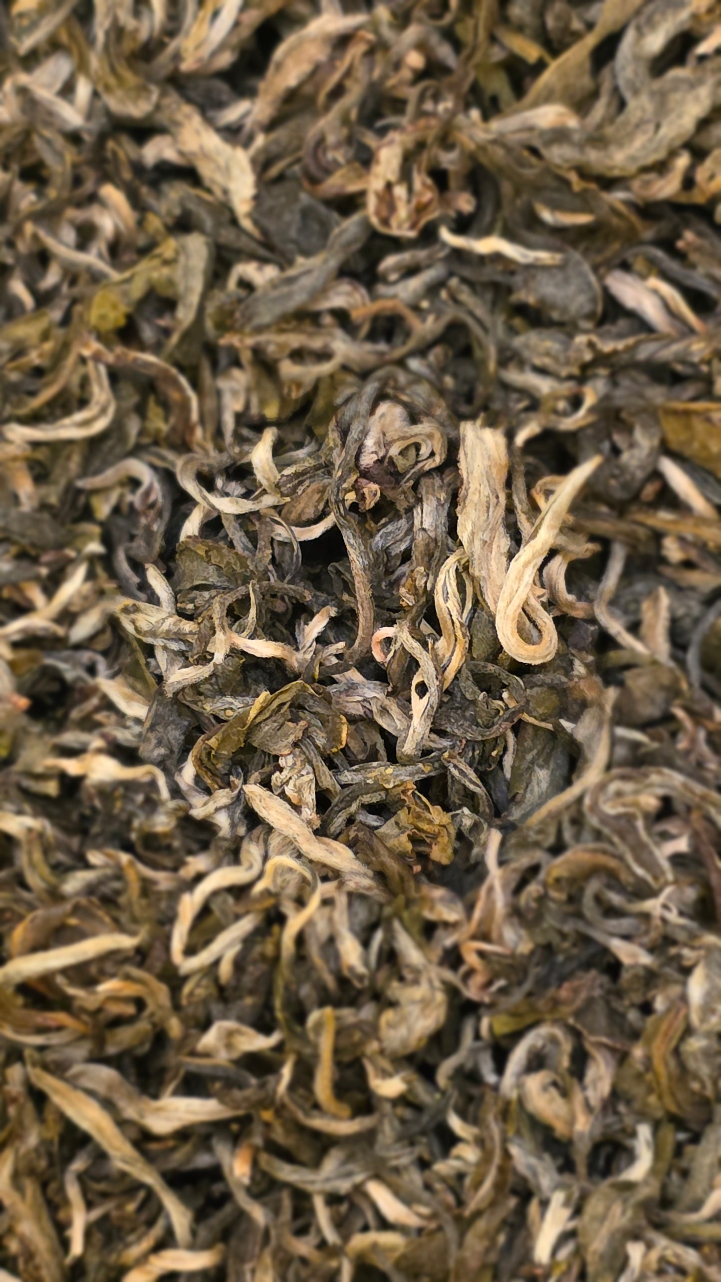 China White Monkey