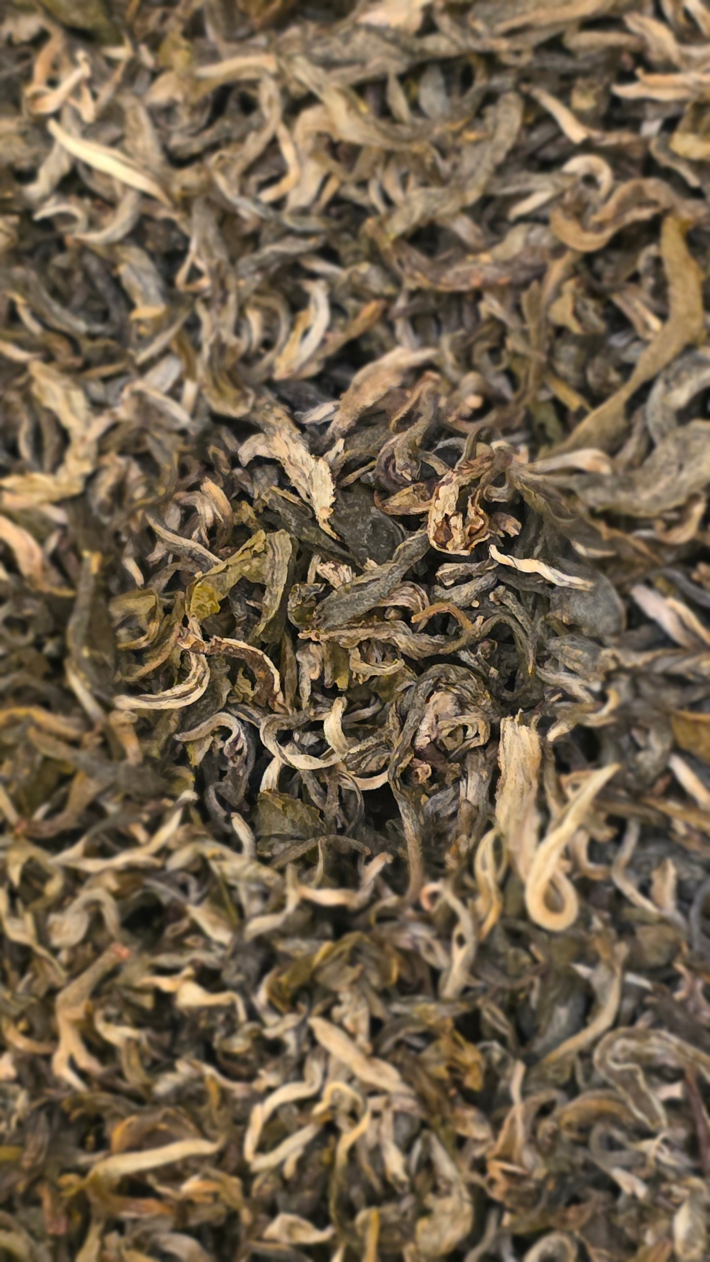 China White Monkey