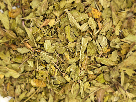 Pfefferminze Deutsche Krüllware